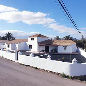 Palmeras , Antigua (Fuerteventura) España